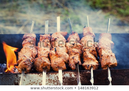 Сток-фото: Shashlik On The Grass