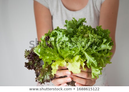 ストックフォト: Woman Eating Green Lettuce Leaf