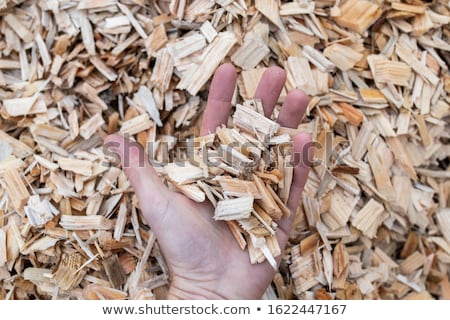Stock fotó: Biomass Production