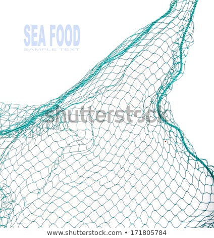 Stockfoto: Isolated Fishing Net