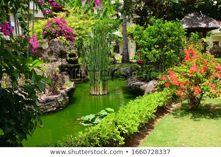 Foto stock: Tropical Garden With Flowers And Beach