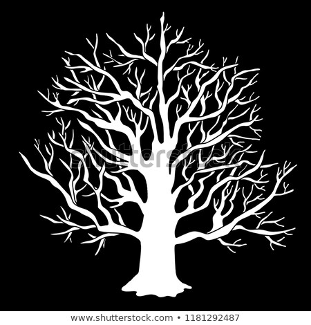 ストックフォト: Tree With Bare Branches Drawn In Chalk Icon