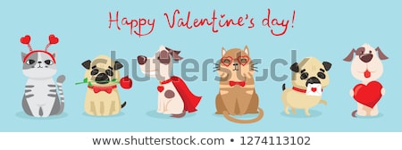 Zdjęcia stock: Happy Valentine Card Cute Cat And Dog