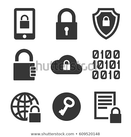 Stock fotó: Encrypted Vector Icon