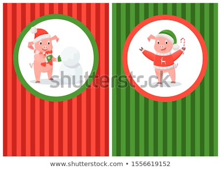 Stockfoto: New Year Pigs Building Snowman Christmas Candy