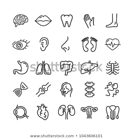 Foto d'archivio: Body Parts Icons Set