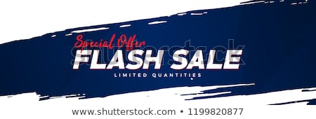 Zdjęcia stock: Flash Sale Promotional Banner Design