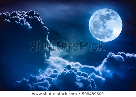 ストックフォト: Moon In The Blue Night