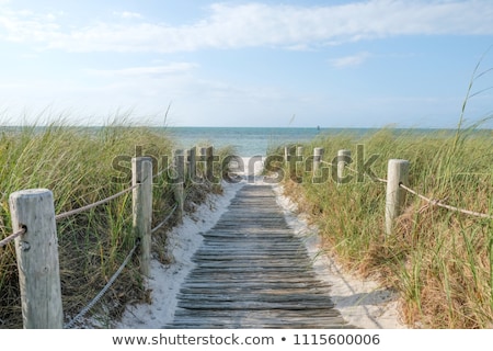 Stock photo: Boardwalk On Beach