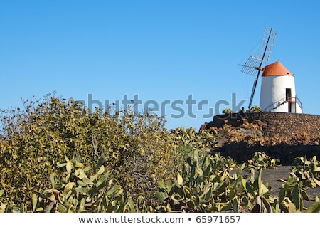 Typical Windmill In Lanzarote Canary Islands Spain Foto stock © nito