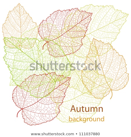 Stock photo: Background With Frame With Autumn Leafs Eps 8