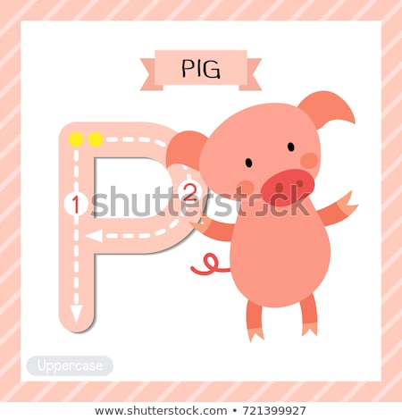 Foto stock: Flashcard Letter P Is For Pig