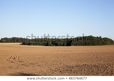 Stockfoto: Plowing The Ground After Harvesting On The Field In The Autumn Time Top View