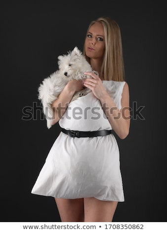 Foto stock: Portrait Of Beautiful Girl Pretty White West Highland Dog