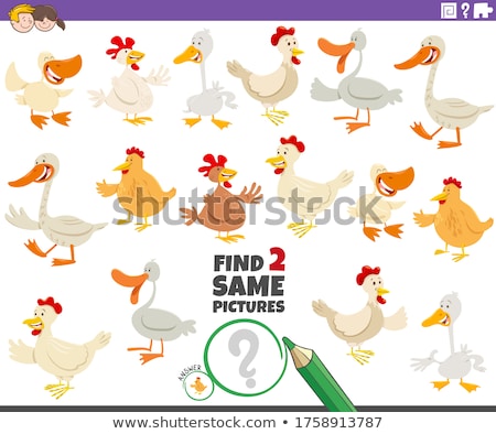 Stock fotó: Find Two Same Farm Birds Game For Kids