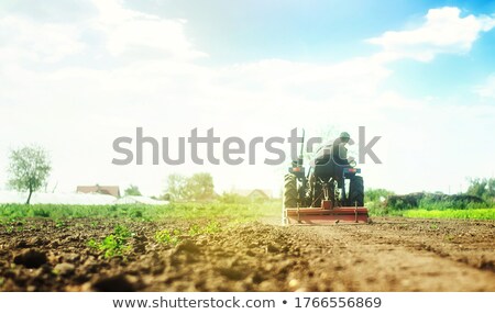 Foto stock: Farmer On A Tractor With A Milling Machine Processes Loosens Soil In The Farm Field Grind And Mix S