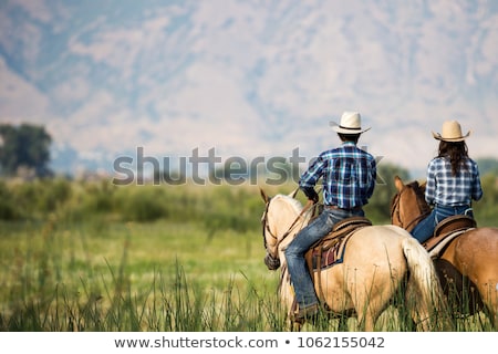 ストックフォト: Beautiful Couple Riding On Horses In The Mountains