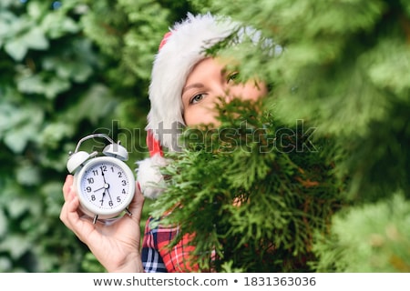 Zdjęcia stock: Christmas Alarm Clock And Fir Tree Branch