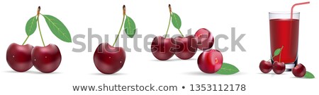 Sour Cherry 10 Foto stock © Garumna