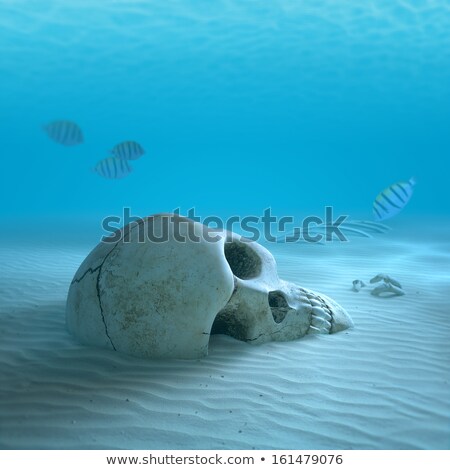 Zdjęcia stock: Skull On Sandy Ocean Bottom With Small Fish Cleaning Some Bones