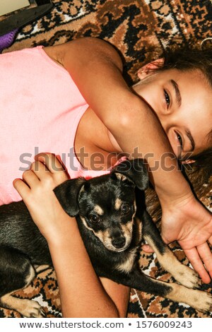 Foto stock: Black And White Accessories Dog Chihuahua With Her Owner