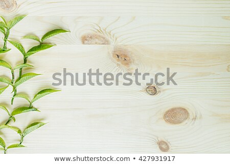 Foto stock: Green Young Leaves On A Wooden Beige Background Wood Light Background Border Copy Space