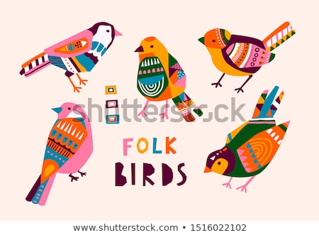 Сток-фото: Vector Set Of Various Birds Illustrations