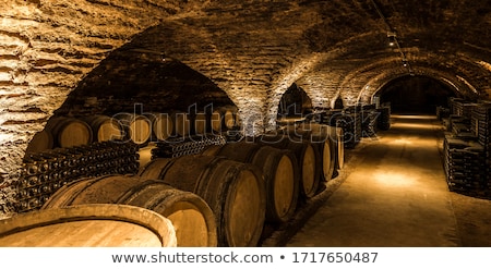 Foto stock: Wine Barrels In A Wine Cellar