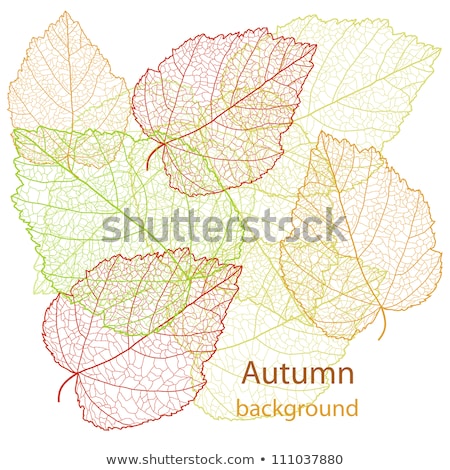 [[stock_photo]]: Autumn Colored Leaves Framing Eps 8