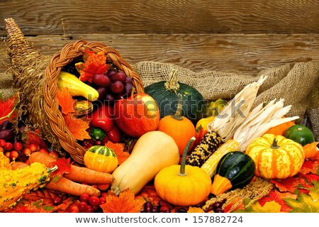 Сток-фото: Collection Of Seasonal Gourds As A Thanksgiving Decoration