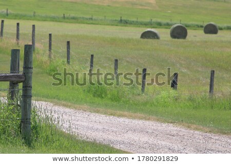 Stock fotó: Agricultural Landscape With Round Hay Bales