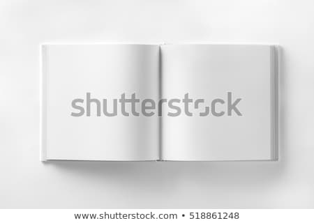 Stok fotoğraf: Opened Book With Blank Page