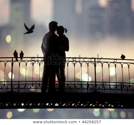 Foto stock: Pigeon Couple In Love
