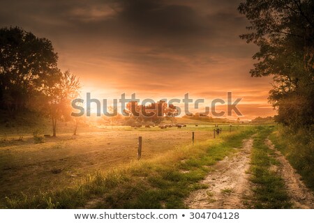 Stock photo: Cow And Calf Farm Scene