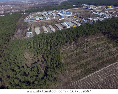 Stockfoto: Image Afted Deforestation
