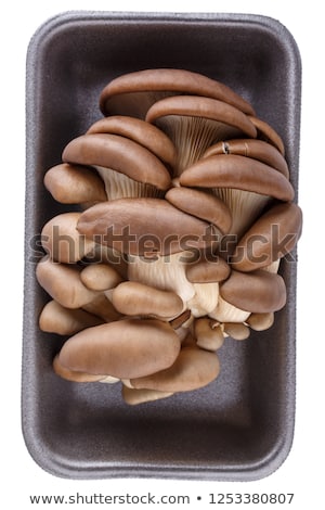[[stock_photo]]: Fresh Edible Mushrooms