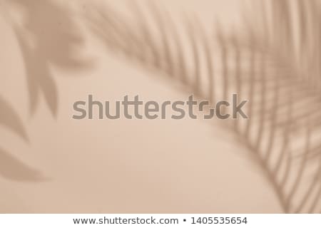 [[stock_photo]]: Pastel Sands