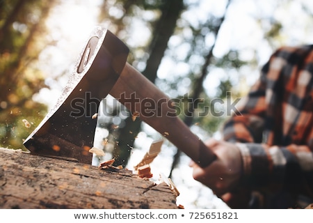 ストックフォト: Male Lumberjack With Axe