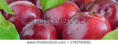 Zdjęcia stock: Fresh Garden Plums