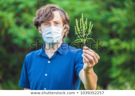 Stock fotó: Young Man In A Medical Mask Because Of An Allergy To Ragweed Banner Long Format