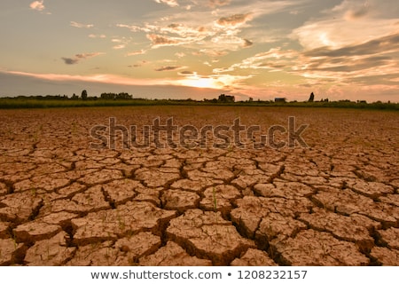 Stockfoto: Drought Land