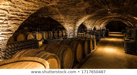 Stock photo: Wine Barrels In Wine Cellar