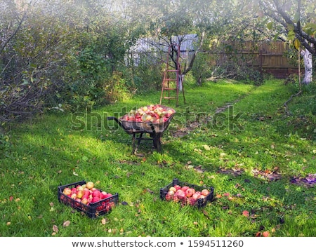 Stockfoto: Evening After The Harvest