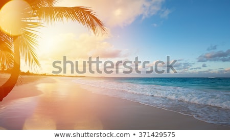 Palms And Sunrise Over Sea Zdjęcia stock © Konstanttin