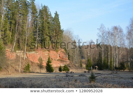 Stok fotoğraf: Red Sky Behind Shady Trees