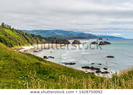 Stok fotoğraf: Crescent Beach At Oregon Coast