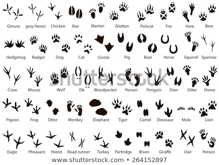 Stockfoto: Abstract Symbol Of Animal Footprint Icon