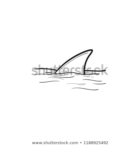 ストックフォト: Shark Fin Over Water Hand Drawn Outline Doodle Icon