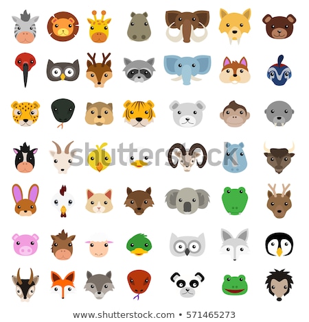 ストックフォト: Set Of Cute Wild Animals And Birds Icon Decor For Children