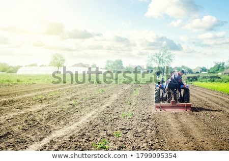 [[stock_photo]]: The Farmer Works On A Tractor Loosening The Surface Cultivating The Land For Further Planting Gri